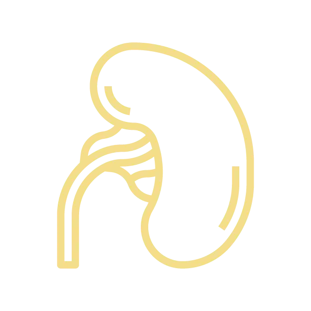 HORGAN_ICON HATI.webp